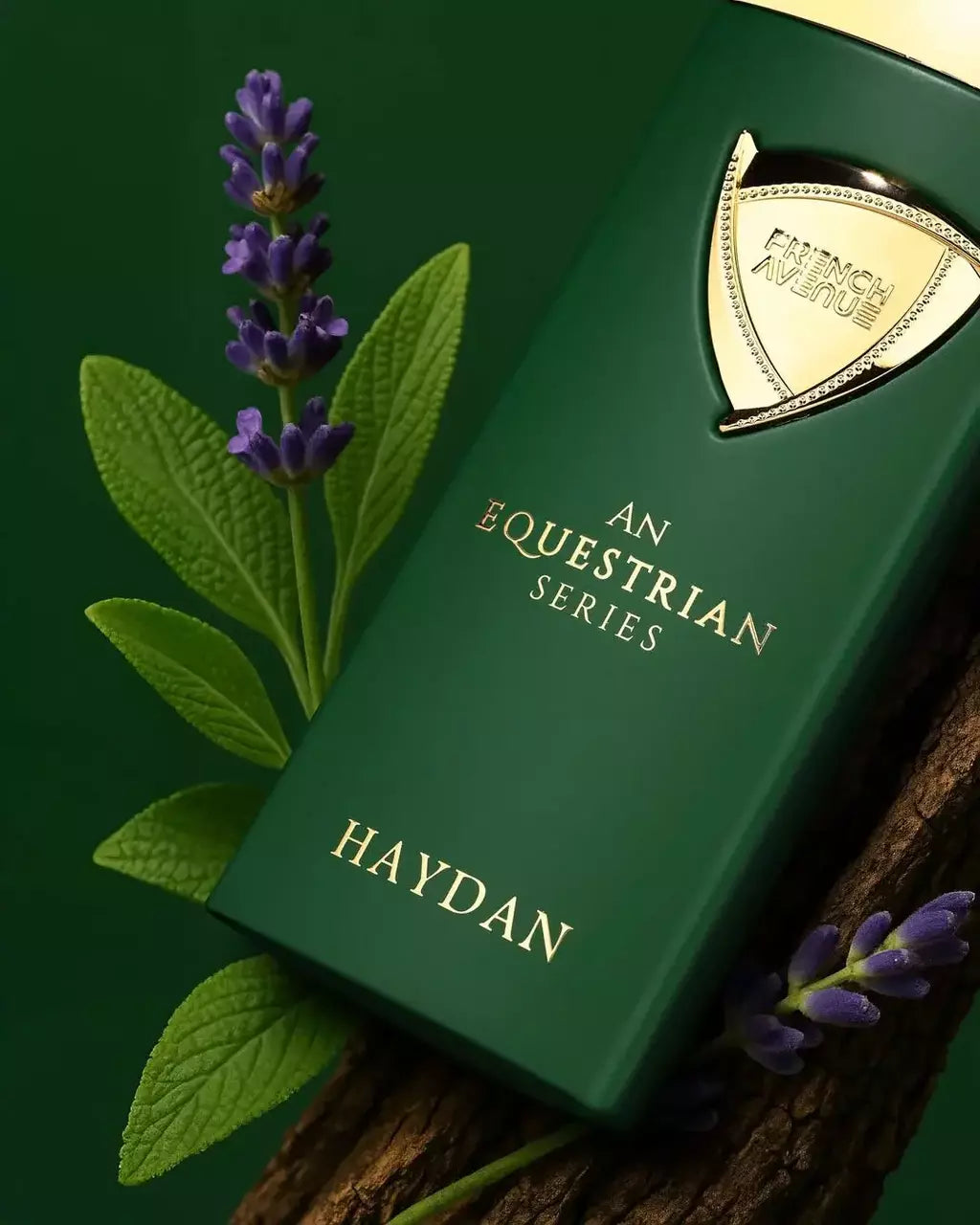Perfume French Avenue An Equestrian Haydan Eau de Parfum Masculino 100ML
